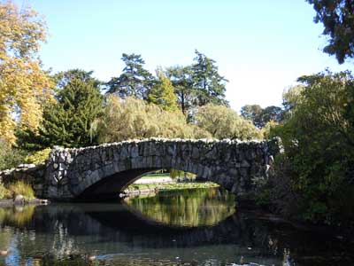 Beacon Hill Park