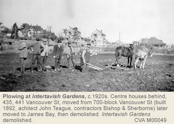 Intertavish Gardens