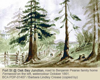 Oak Bay Junction